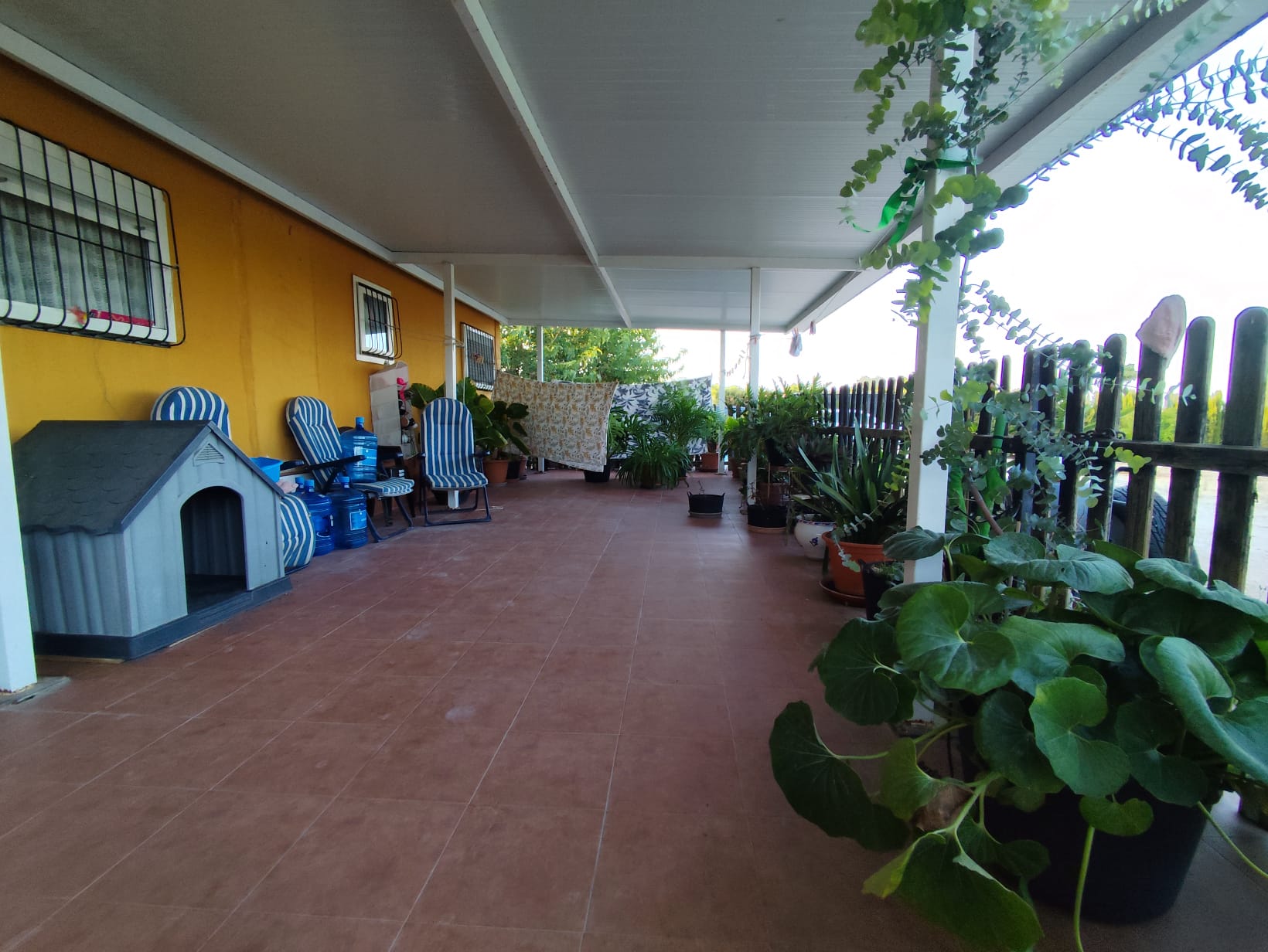 VIVIENDA CON 5.300 M² DE TERRENO, PISCINA Y FRUTALES – LOS VALIENTES, MURCIA - Imagen 24