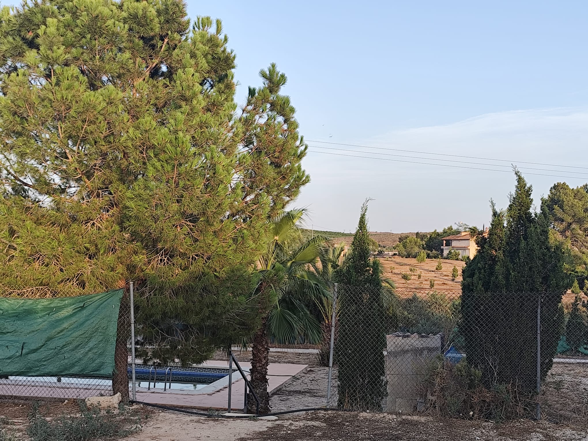 VIVIENDA CON 5.300 M² DE TERRENO, PISCINA Y FRUTALES – LOS VALIENTES, MURCIA - Imagen 32