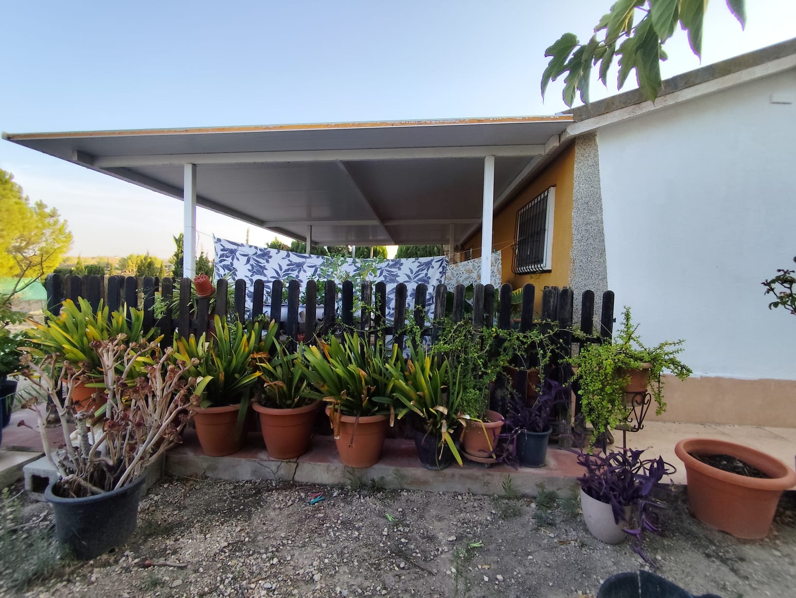 VIVIENDA CON 5.300 M² DE TERRENO, PISCINA Y FRUTALES – LOS VALIENTES, MURCIA - Imagen 6