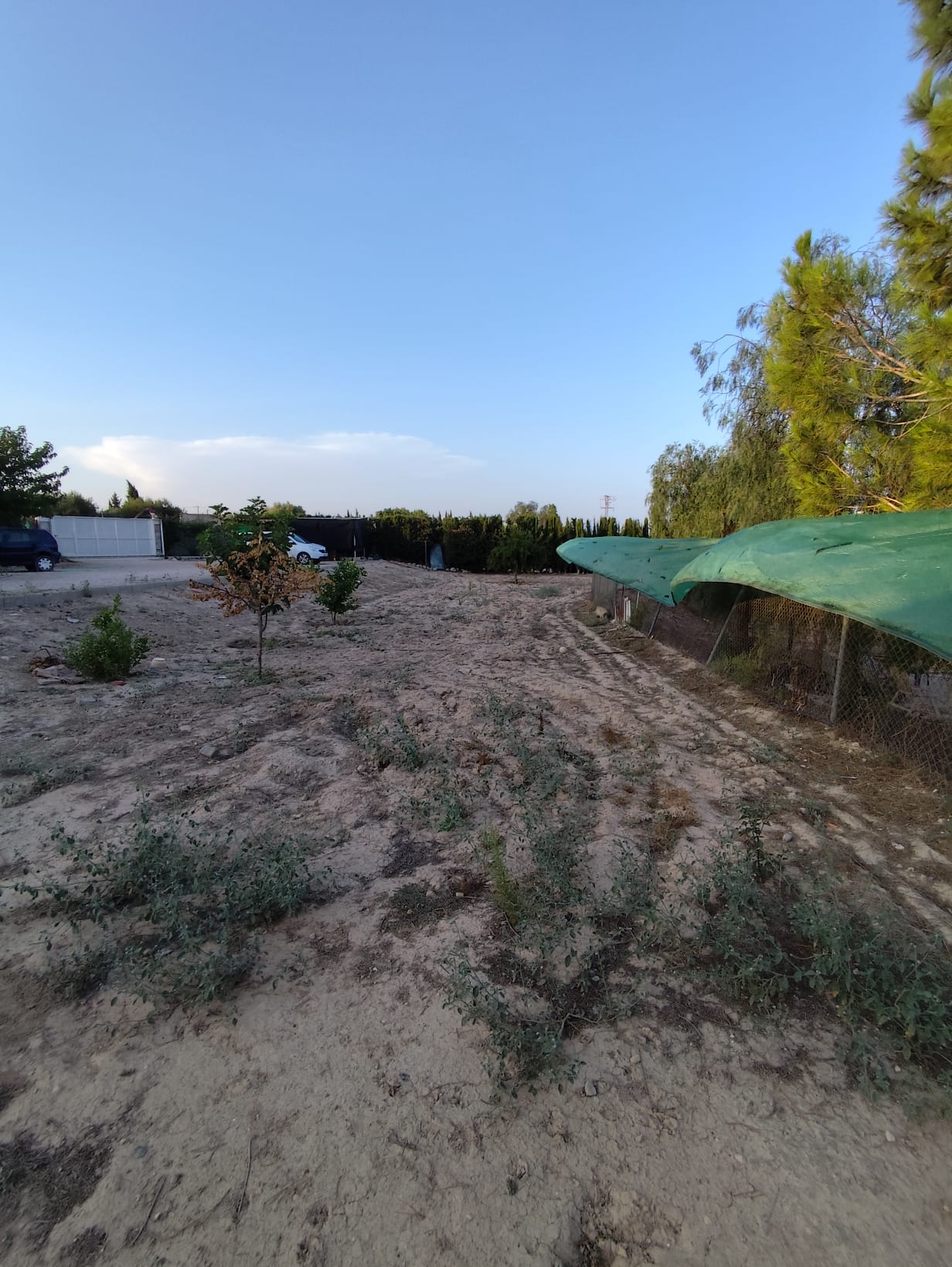 VIVIENDA CON 5.300 M² DE TERRENO, PISCINA Y FRUTALES – LOS VALIENTES, MURCIA - Imagen 38
