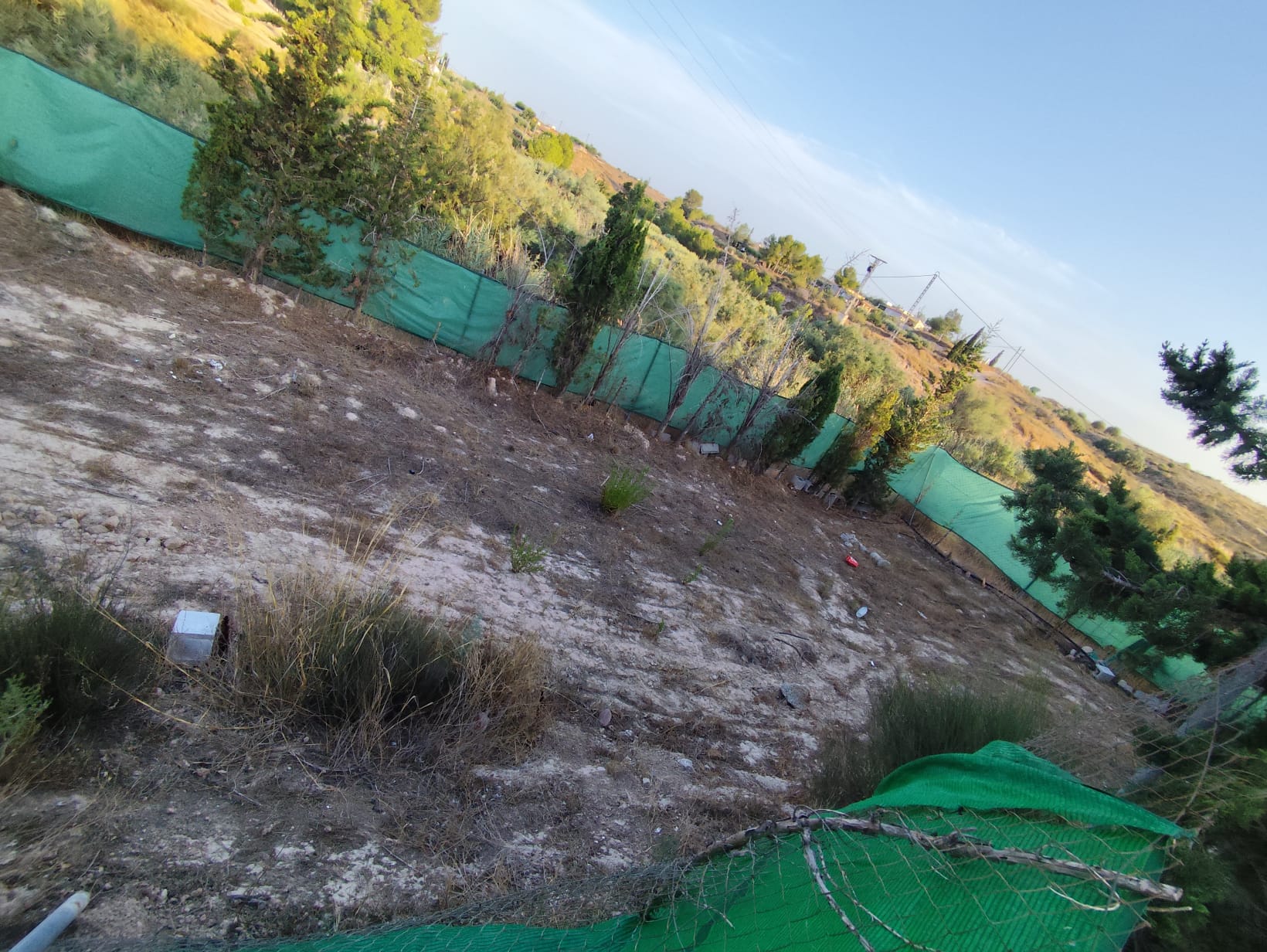 VIVIENDA CON 5.300 M² DE TERRENO, PISCINA Y FRUTALES – LOS VALIENTES, MURCIA - Imagen 43