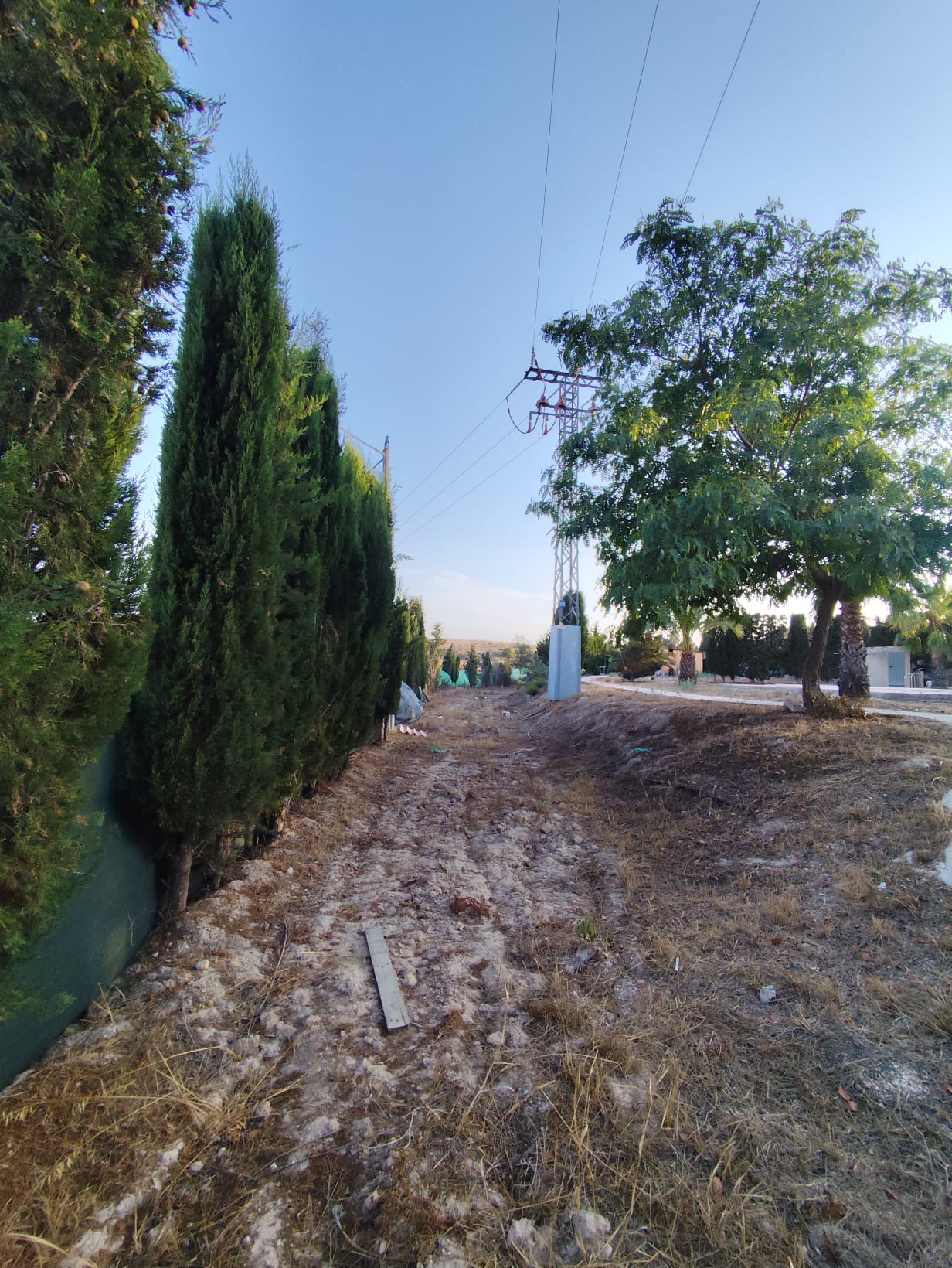 VIVIENDA CON 5.300 M² DE TERRENO, PISCINA Y FRUTALES – LOS VALIENTES, MURCIA - Imagen 52