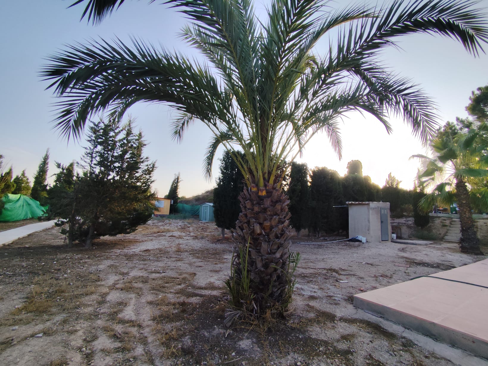 VIVIENDA CON 5.300 M² DE TERRENO, PISCINA Y FRUTALES – LOS VALIENTES, MURCIA - Imagen 48