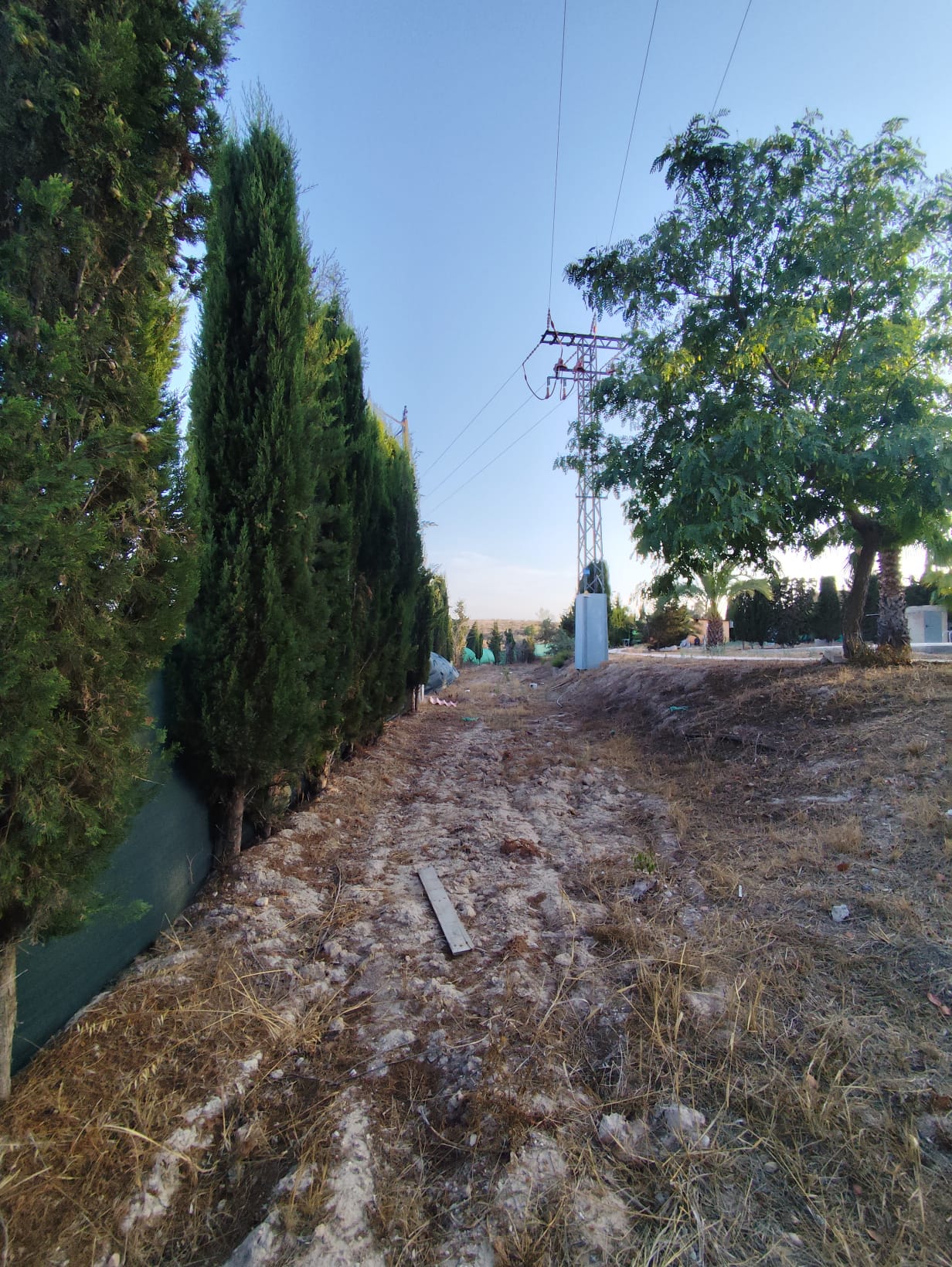 VIVIENDA CON 5.300 M² DE TERRENO, PISCINA Y FRUTALES – LOS VALIENTES, MURCIA - Imagen 64