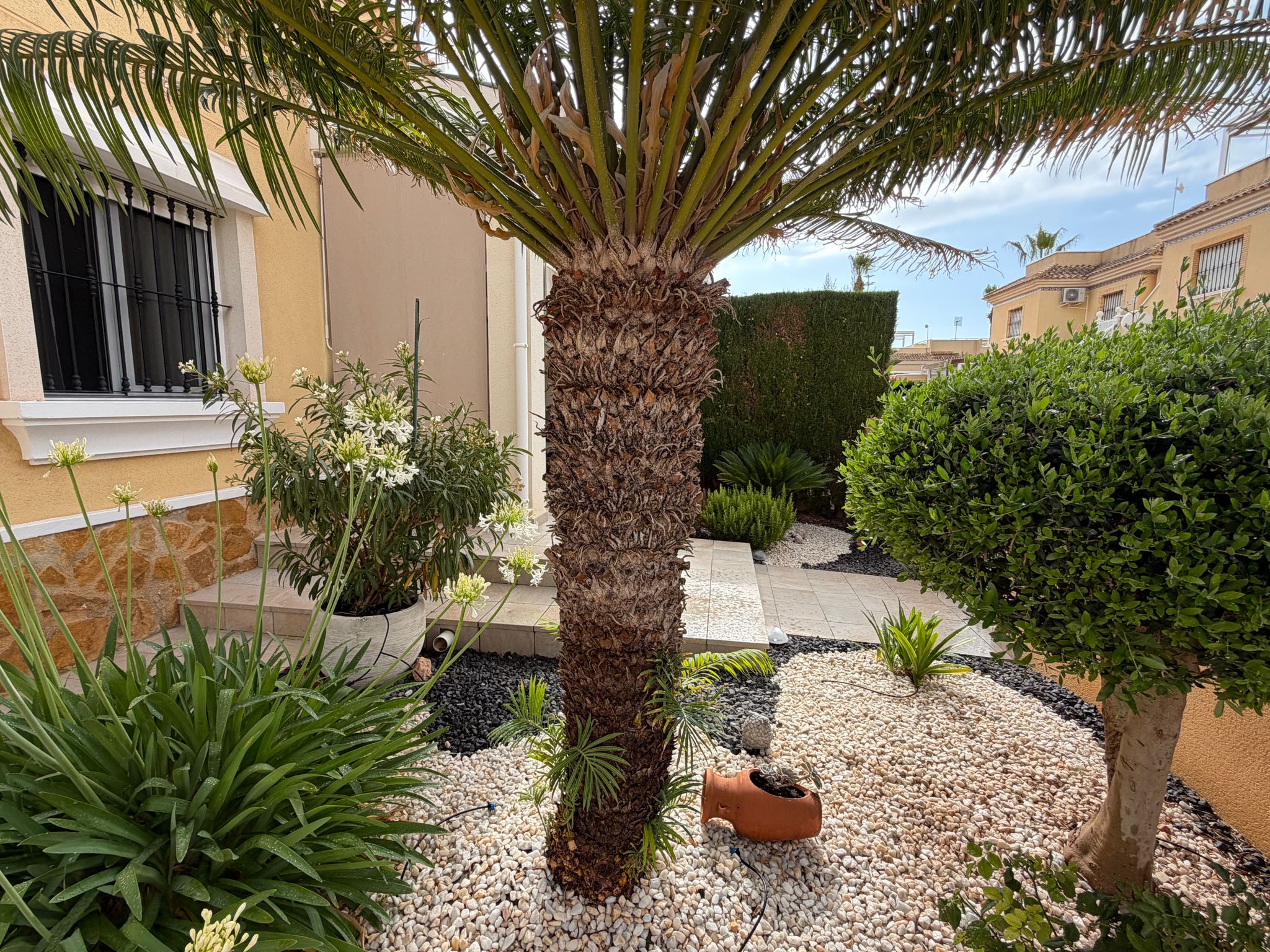 Bungalow con jardín privado y piscina en Villamartín – Los Dolses - Imagen 33