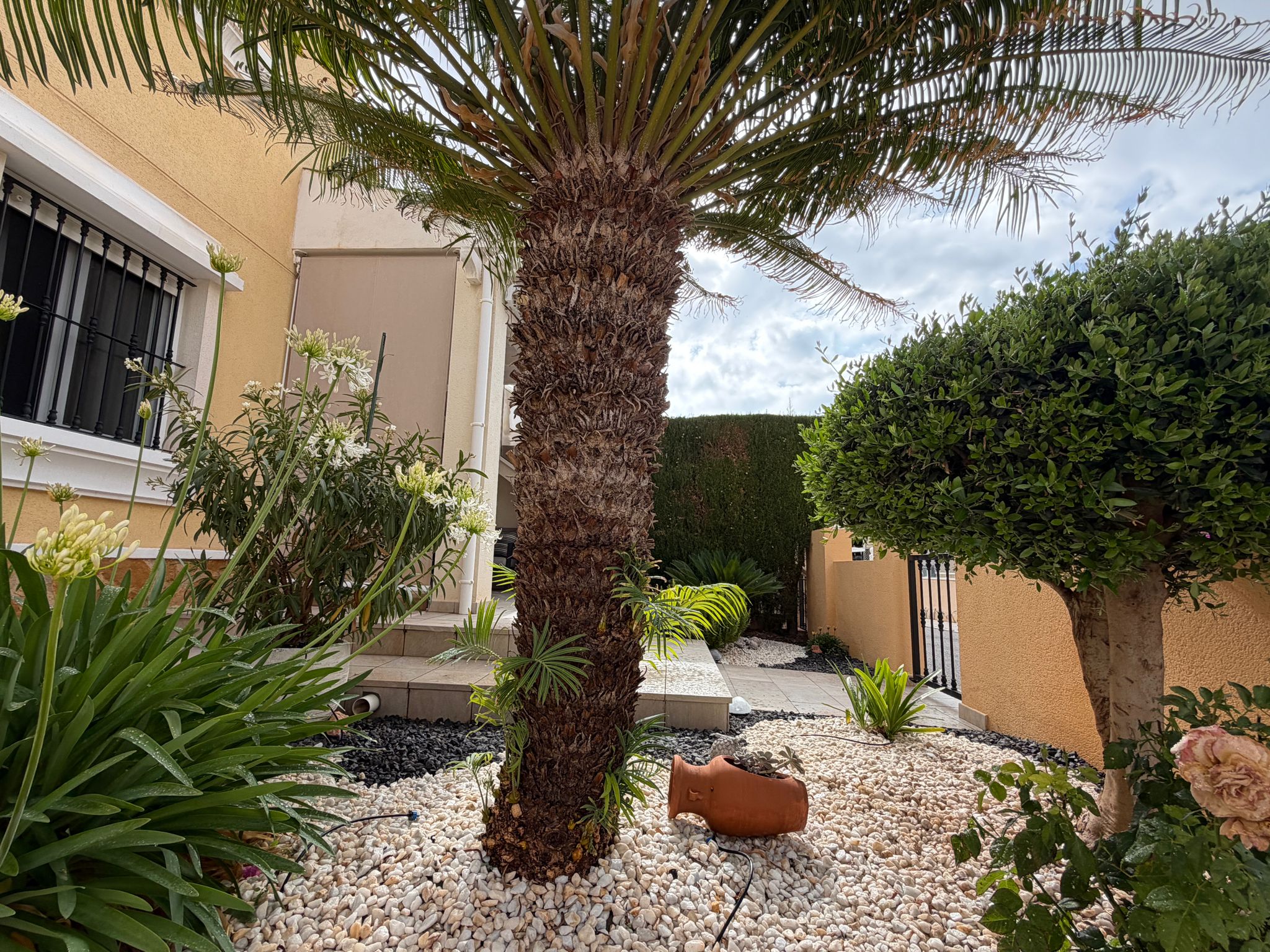 Bungalow con jardín privado y piscina en Villamartín – Los Dolses - Imagen 58