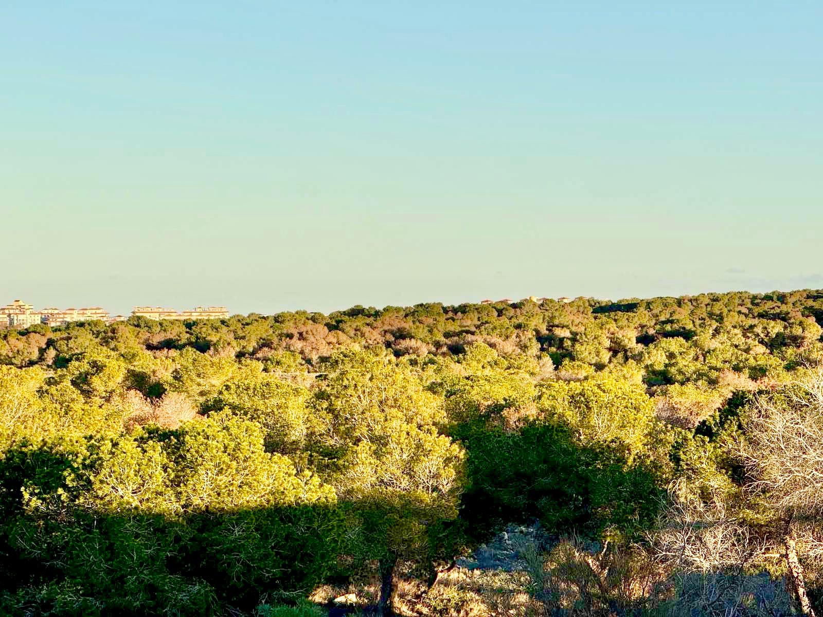 🏡 ADOSADO EN EL CHAPARRAL – TORREVIEJA | VISTAS AL MAR Y AL PARQUE NATURAL - Imagen 20