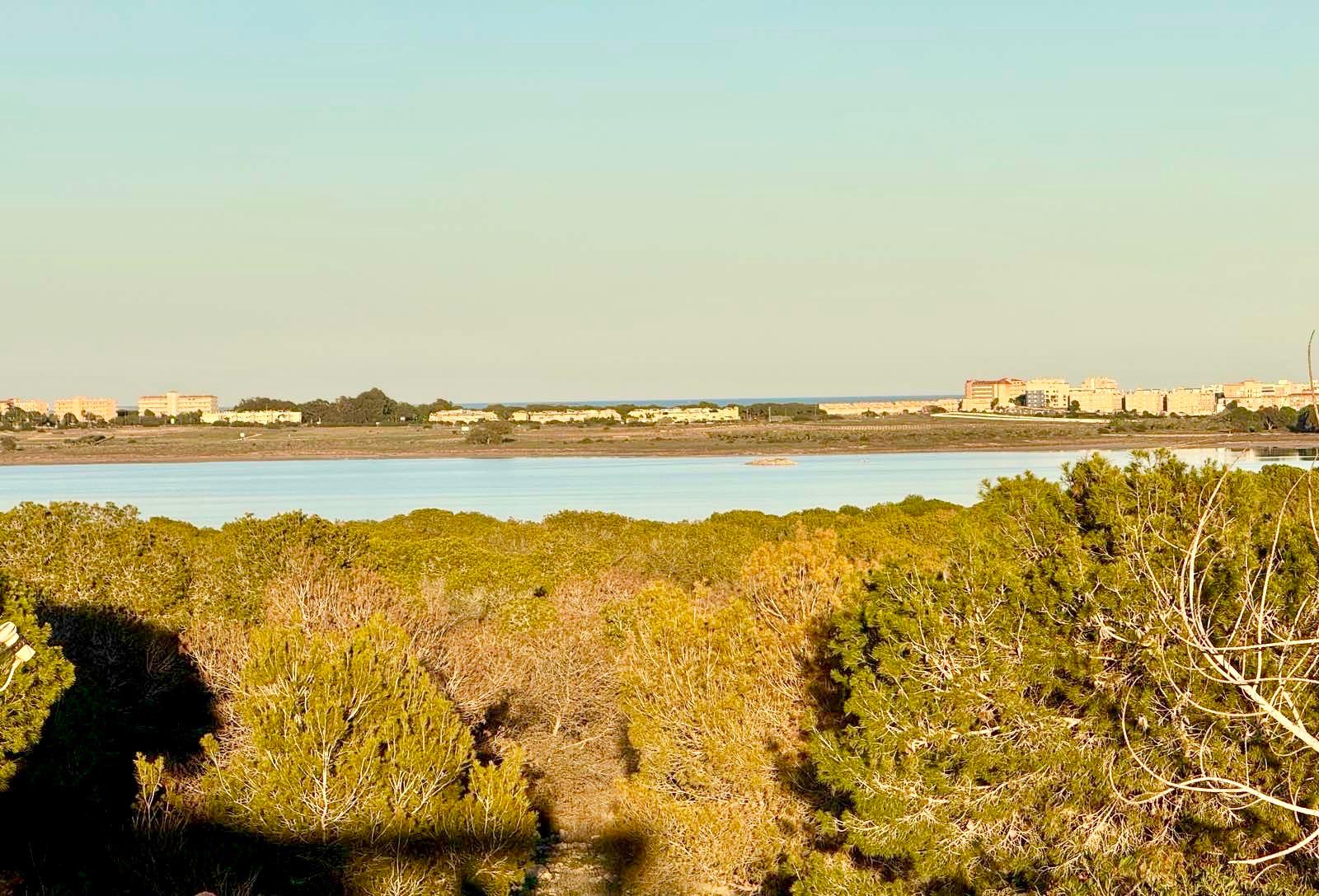 🏡 ADOSADO EN EL CHAPARRAL – TORREVIEJA | VISTAS AL MAR Y AL PARQUE NATURAL - Imagen 21
